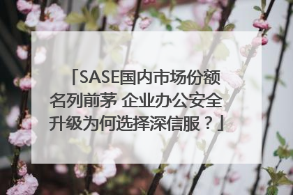 SASE国内市场份额名列前茅 企业办公安全升级为何选择深信服？